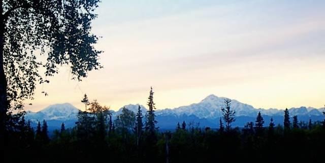 Grace And Bill'S Freedom Hills B&B Talkeetna Εξωτερικό φωτογραφία