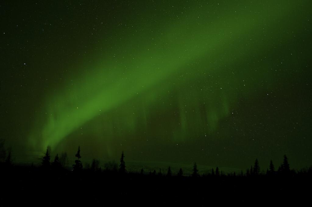 Grace And Bill'S Freedom Hills B&B Talkeetna Εξωτερικό φωτογραφία