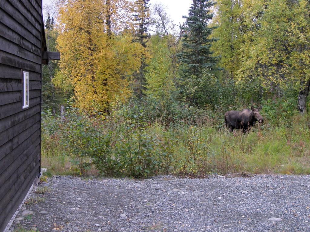 Grace And Bill'S Freedom Hills B&B Talkeetna Εξωτερικό φωτογραφία