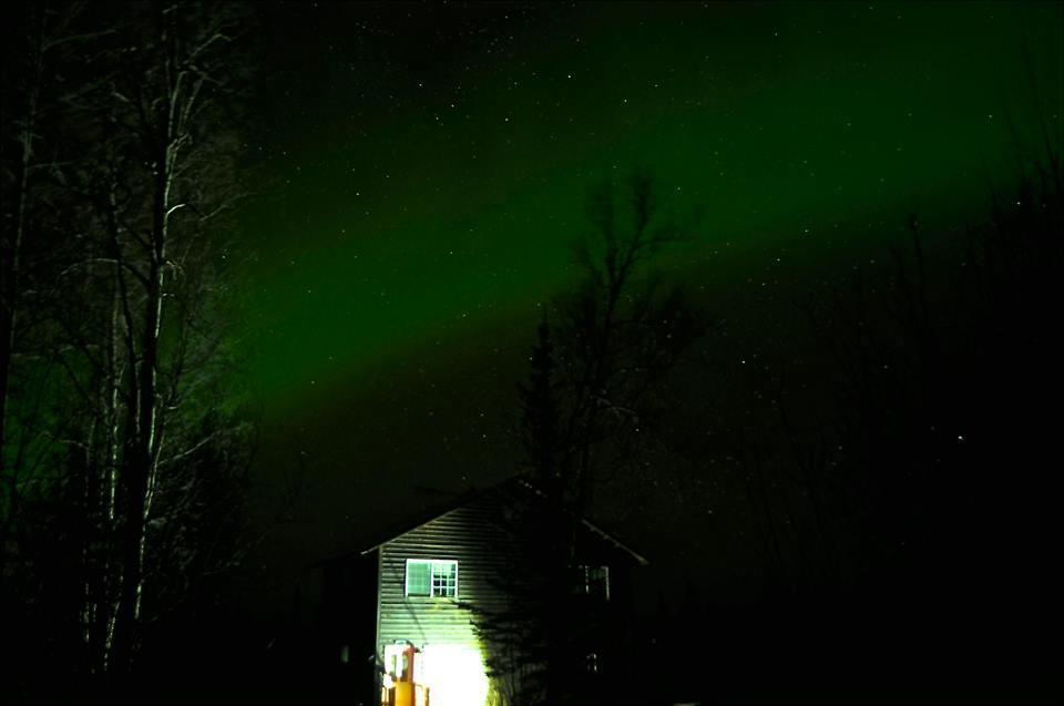 Grace And Bill'S Freedom Hills B&B Talkeetna Εξωτερικό φωτογραφία