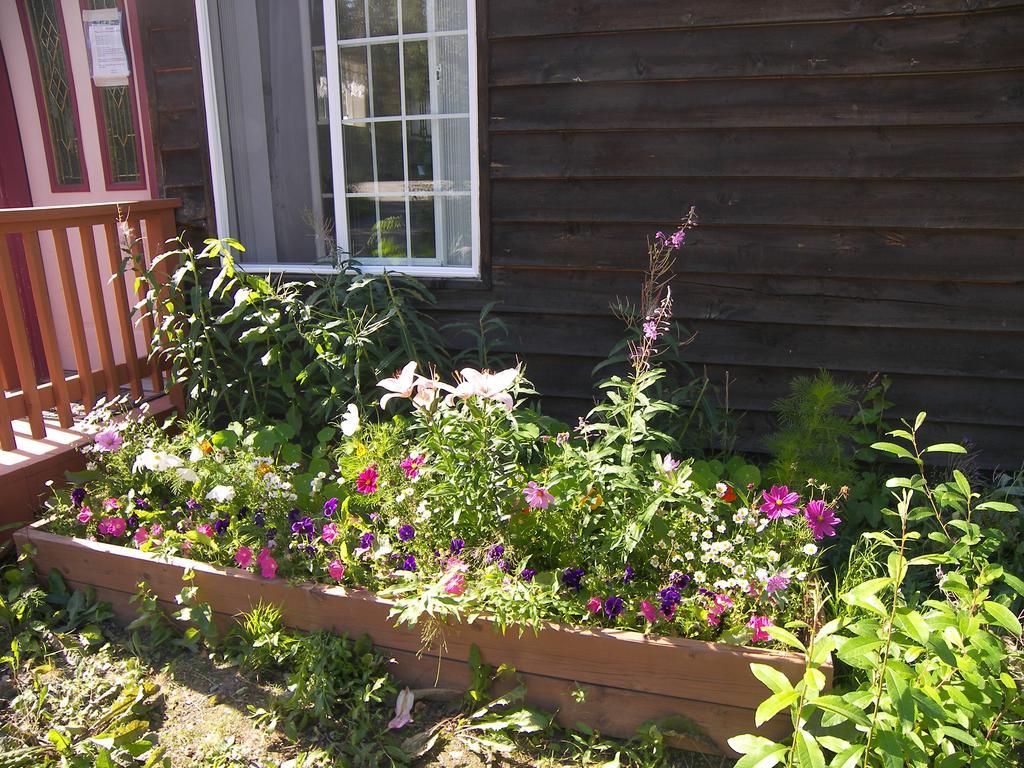Grace And Bill'S Freedom Hills B&B Talkeetna Εξωτερικό φωτογραφία