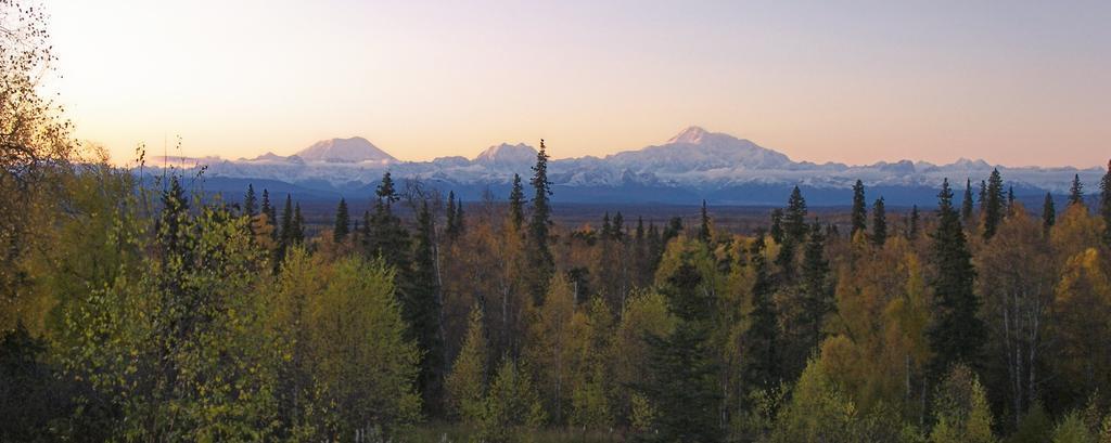 Grace And Bill'S Freedom Hills B&B Talkeetna Εξωτερικό φωτογραφία